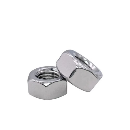 Stainless Steel Hexagon Nut